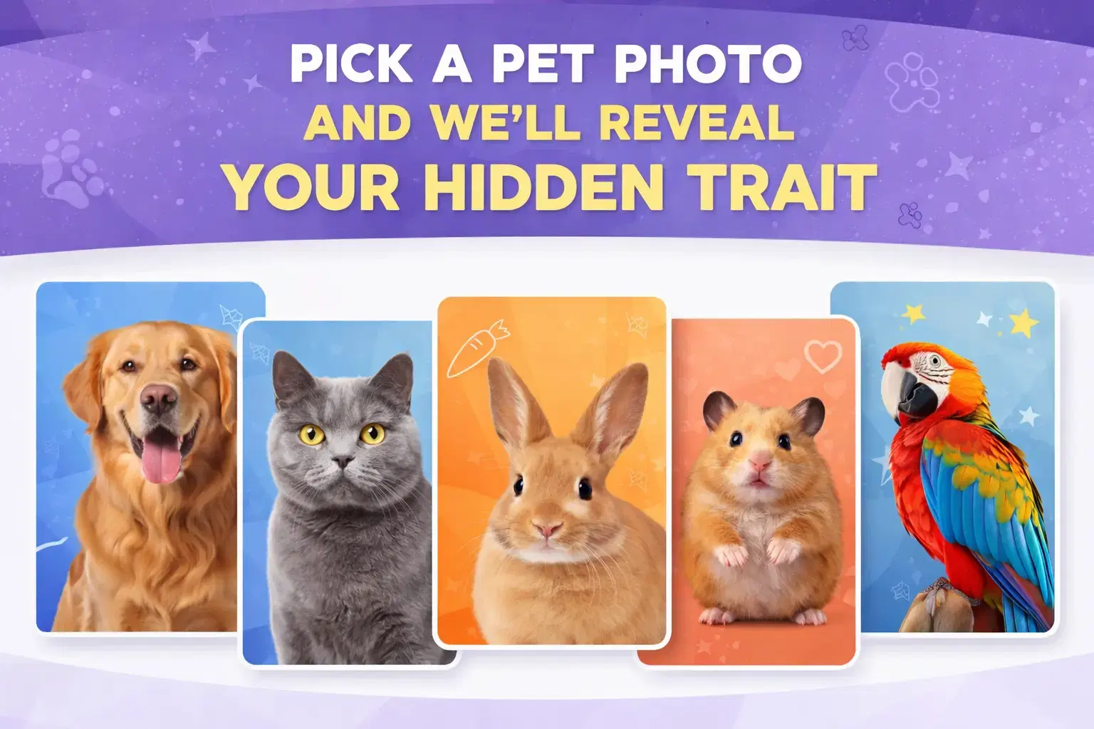 Pick a Pet Photo and We’ll Reveal Your Hidden Trait