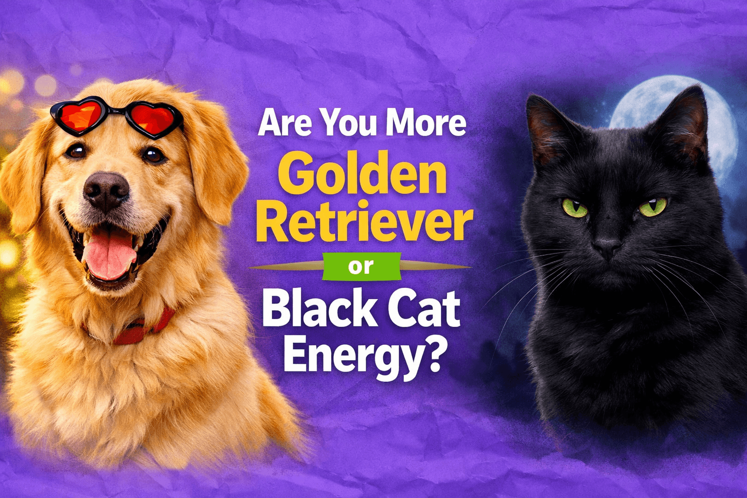 Are You More Golden Retriever or Black Cat Energy?